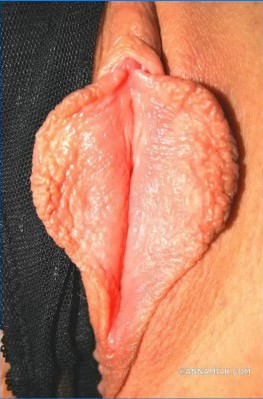 Вот так выглядят идеальные пизды